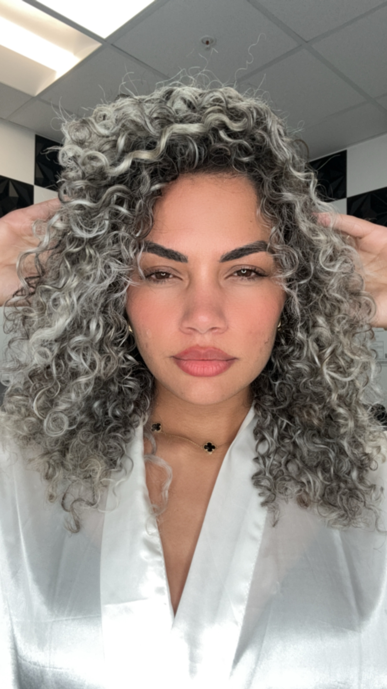 Definición profesional de rizos